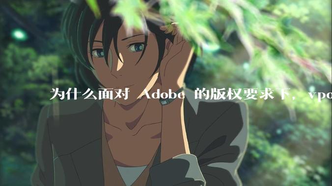 为什么面对 Adobe 的版权要求下,vposy 大神还能从容不迫?